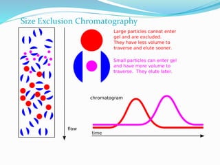 Size Exclusion Chromatography
 