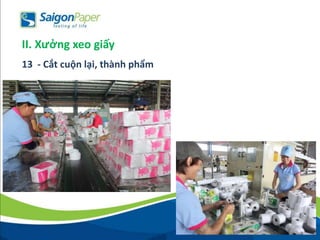 13 - Cắt cuộn lại, thành phẩm
II. Xưởng xeo giấy
 