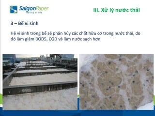 Hệ vi sinh trong bể sẽ phân hủy các chất hữu cơ trong nước thải, do
đó làm giảm BOD5, COD và làm nước sạch hơn
3 – Bể vi sinh
III. Xử lý nước thải
 
