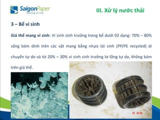 Giá thể mang vi sinh: Vi sinh sinh trưởng trong bể dưới 02 dạng: 70% – 80%
sống bám dính trên các vật mang bằng nhựa tái sinh (PP/PE recycled) di
chuyển tự do và từ 20% – 30% vi sinh sinh trưởng lơ lững tự do, không bám
trên giá thể.
3 – Bể vi sinh
III. Xử lý nước thải
 