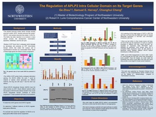 The Regulation of APLP2 Intra Cellular Domain on Its Target Genes
Ge Zhou1,2, Samuel E. Harvey2, Chonghui Cheng2
(1) Master of Biotechnology Program of Northwestern University
(2) Robert H. Lurie Comprehensive Cancer Center of Northwestern University
Methods
Results
Conclusion
Objectives
Background
Future Directions
•We could make the stable APLP2 isoform over-expression
cell lines to further test the A2ICD effect on its target genes.
•We need to propose a potential cell signal pathway to explain
how would the A2ICD regulate its target genes and how does
this contribute to breast cancer progression.
•The amyloid precursor protein family includes amyloid
precursor protein (APP), amyloid precursor-like protein1
(APLP1), and amyloid precursor-like protein 2 (APLP2).
This family has been reported to be involved in many
cellular process like development, transcription,
apoptosis, metabolism, and the cell cycle.
•Studies of APP found that it undergoes serial cleavage
by secretases and produces an APP Intra-Cellular
Domain (AICD) that enters the nucleus and is
hypothesized to function as a transcription factor. Some
of these target genes are linked to cancer progression.
Fig.1 The general view of how would AICD be produced in
cells2.
•The mRNA of APP protein family undergoes alternative
splicing. For APLP2 mRNA, the exon 7 could be
retained or spliced, which generates two different
isoforms, the long one with exon 7 and the short one
without.
•Would APLP2 Intracellular Domain (A2ICD) have the
same function as APP; Would different isoforms affect
the function of APLP2 Intra Cellular Domain? How would
APLP2 Intracellular Domain contribute to cancer
progression? These questions still need to be answered.
•To determine which genes would A2ICD regulate.
•To determine if different isoforms of APLP2 regulate
target genes differently.
•To conclude how would the regulation of A2CID on its
target genes affect breast cancer progression.
Breast cancer cell lines:
• APLP2E7 knockdown
•APLP2ΔE7 knockdown
•APLP2 knockdown
RNA Extraction
RT-PCR for cDNA
Analysis of Target Genes Expression
0
1
2
3
4
5
6
7
P2 D1 P4 D1 P6 D1 P2 MME P4 MME P6 MME
shluc
sh7
sh6-8
sh
3'UTR
qPCR
Fig.3 D1, MME expression in different passages (P2, P4, P6) of
APLP2 knockdown MCF10a cell lines. In different passages of
MCF10a cell lines, MME is always up-regulated in the APLP2E7
knockdown cell line and down-regulated in the others, while Cyclin D1 is
always up-regulated in APLP2ΔE7 knockdown and down-regulated in the
others.
0
0.2
0.4
0.6
0.8
1
1.2
1.4
p1 sh7 p1 sh6-8 p1 sh
3'utr
p2 sh7 p2 sh6-8 p2 3'utr p3 sh7 p3 sh6-8 p3 s'utr p4 sh7 p4 sh6-8 p4
shs'utr
p6 sh7 p6 sh6-8 p6
sh3'utr
aplp2 L
aplp2 S
aplp2 T
Fig.2: MCF10a Knockdown Efficiency Check. A. Knockdown efficiency
check of each passage by qPCR. Expression of APLP2E7 and
APLP2ΔE7 recover through the passage. B. Knockdown efficiency
check by western blot for the second passage.
0
0.5
1
1.5
2
2.5
D1 MME
shluc
sh7
sh6-8
sh3'utr
Fig.4 Expression of D1 and MME in HMLE APLP2 knockdown cell
line. In HMLE cell line, expression of Cyclin D1 is consistent with
MCF10a cell line. However, expression of MME is not.
0
0.5
1
1.5
2
2.5
3
3.5
D1 MCF10a D1 HMLE D1 231 MME MCF10a MME HMLE
shluc
sh6-8
Fig.5 D1 and MME expression in different breast cancer cell lines.
The expression of D1 is consistent in different cell lines, but MME varies.
In some cell lines, such as 231 and Hela, the expression of MME is
undetectable.
• By screening all the target genes of AICD in MCF10a
cell lines, we found that only MME and Cyclin D1 shows
differential expression in APLP2E7 and APLP2ΔE7
knockdown cell lines.
• When we test further in other breast cancer cell lines,
we found that only the expression of Cyclin D1 remains
consistent in different cell lines, where APLP2E7 up-
regulates D1 expression while APLP2ΔE7 down-
regulates its expression. Even though, there isn’t a
consistent MME expression trend, we still observe a
significant switch between different APLP2 isoform
knockdowns in different cell lines.
• MME could inhibit angiogenesis in tumor cells4. Cyclin
D1 could activate the cell cycle, which may contribute to
tumor growth5. From the results, we could make the
hypothesis that A2ICD could affect cell cycle and which
may provide a new target for breast cancer treatment.
Reference
1. Peters HLA, Sharma M, Naslavsky N, Caplan S, MacDonald
RG, Solheim JC.Tuli, (2011), Regulation of major
histocompatibility complex class I molecule expression on
cancer cells by amyloid precursor-like protein 2. Immunol Res.,
51(1): 39-44.
2. Eva Babusikova, Andrea Evinova, Jozef Hatok, Dusan
Dobrota and Jana Jurecekova, ( 2013), Oxidative Changes and
Possible Effects of Polymorphism of Antioxidant Enzymes in
Neurodegenerative Disease, Neurodegenerative Diseases,
Chapter 18.
3. Mouse Embryonic Fibroblast (MEF) Conditioned Media, Web, <
http://www.rndsystems.com/Products/ar005/AssayProcedure>.
4. Gorrin-Rivas MJS, Furutani M, Mizumoto M, Mori A, Hanaki K,
Maeda M, Furuyama H, Kondo Y, Imamura M.Arii, (2000),
Mouse macrophage metalloelastase gene transfer into a
murine melanoma suppresses primary tumor growth by halting
angiogenesis. Clinical Cancer Research, 6(5): 1647-54.
5. Checler Pardossi-Piquard and Frédéric Raphaëlle, (2011), The
physiology of the β-amyloid precursor protein intracellular
domain AICD., Journal of Neurochemistry, 120: 1471-4159.
3
Acknowledgement
This work was supported by Chonghui Cheng’s lab of
Robert H. Lurie Comprehensive Cancer Center as well
as the Master of Biotechnology program of
Northwestern University.
A.
APLP 2
GAPDH
shluc
sh7
Sh6-8
Sh
3’utr
B.
 