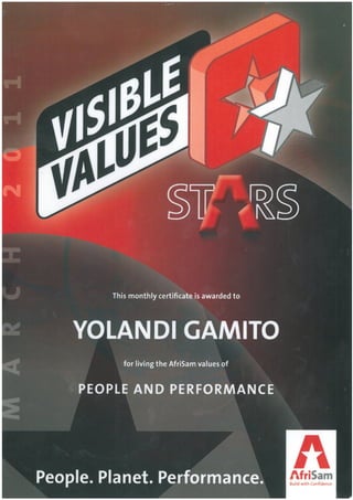 Visible Values Award
