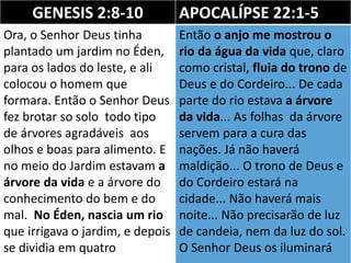 GENESIS 2:8-10 APOCALÍPSE 22:1-5
Ora, o Senhor Deus tinha
plantado um jardim no Éden,
para os lados do leste, e ali
colocou o homem que
formara. Então o Senhor Deus
fez brotar so solo todo tipo
de árvores agradáveis aos
olhos e boas para alimento. E
no meio do Jardim estavam a
árvore da vida e a árvore do
conhecimento do bem e do
mal. No Éden, nascia um rio
que irrigava o jardim, e depois
se dividia em quatro
Então o anjo me mostrou o
rio da água da vida que, claro
como cristal, fluia do trono de
Deus e do Cordeiro... De cada
parte do rio estava a árvore
da vida... As folhas da árvore
servem para a cura das
nações. Já não haverá
maldição... O trono de Deus e
do Cordeiro estará na
cidade... Não haverá mais
noite... Não precisarão de luz
de candeia, nem da luz do sol.
O Senhor Deus os iluminará
 