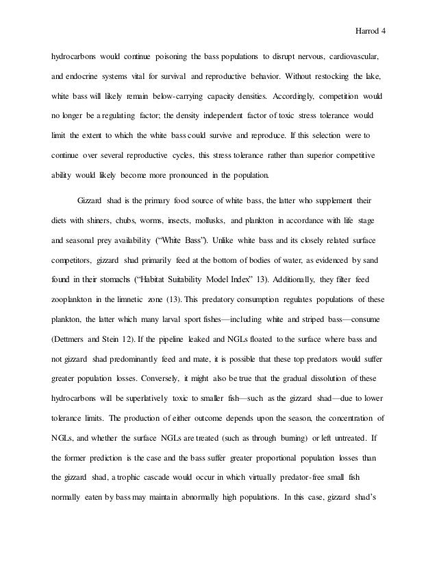 essay on ecology