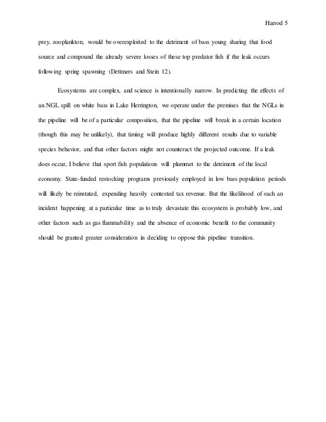 Historiography paper example picture