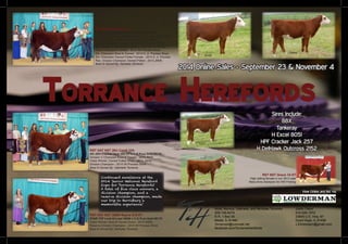 Torrance Herefords
2014 Online Sales - September 23 & November 4
Sires Include:
88X
Tankeray
H Excel 8051
HPF Cracker Jack 257
H DelHawk Outcross 2152
Scott, Monica, Gabrielle, and Nicholas Torrance	 	 Justin Olson
309-746-6274						515-520-1972
R.R. 1 Box 55						 23845 U.S. Hwy. 67
Media, IL 61460					 	 Good Hope, IL 61438
Torrance4@comcast.net				J.Elmerolson@gmail.com
facebook.com/TorranceHerefords
View Online and Bid Via
RST NST Faith 44Z ET
H W4 Grizzly 0146 ET x CRR About Time 743
Division VI Reserve Champion Bred & Owned - 2014 JNHE
Class Winner, Owned Polled Show - 2014 JNHE
Grand Champion Female - 2014 WI Jr. Preview Show
Res. Supreme Champion Female - 2014 WI Jr. Preview
Grand Champion Female - 2014 WI Preview Show
Div. Champion Bred & Owned - 2014 IL Jr. Preview Show
Div. Champion Owned Polled Female - 2014 IL Jr. Preview
Res. Division Champion Owned Polled - 2013 JNHE
Bred & Owned By: Nicholas Torrance
RST GAT NST 26U Candi 23A
AH JDH Cracker Jack 26U ET x C-S Pure Gold 98170
Division V Champion Bred & Owned - 2014 JNHE
Class Winner, Owned Polled Show - 2014 JNHE
Division Champion - 2014 WI Preview Show
Bred & Owned By: Gabrielle Torrance
RST GAT NST 300W Rayna 31A ET
STAR TCF Lock-N-Load 300W x C-S Pure Gold 98170
Class Winner, Bred & Owned Show - 2014 JNHE
Reserve Division Champion - 2014 WI Preview Show
Bred & Owned By: Nicholas Torrance
Continued excellence at the
2014 Junior National Hereford
Expo for Torrance Herefords!
A total of five class winners, a
division champion, and a
reserve division champion, made
our trip to Harrisburg a
memorable experience!
RST NST Grace 1A ET
High selling female in our 2013 sale
Many-time champion for Will Freking
 
