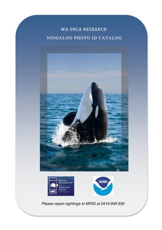  
	
  	
  	
  	
  	
  	
  WA	
  ORCA	
  RESEARCH	
  WA	
  ORCA	
  RESEARCH	
  	
  	
  
	
  	
  	
  	
  	
  	
  	
  	
  NINGALOONINGALOO PHOTOPHOTO ID CATALOGID CATALOG
	
  
	
  
	
  
	
  
	
  
	
  
	
  
	
  
	
  
	
  
	
  
	
  
	
  
	
  
	
  
	
  
	
  
	
  
	
  
	
  
	
  
	
  
	
  
	
  
	
   	
   	
  	
  	
  	
  	
  	
  	
  	
  	
  Please report sightings to MIRG at 0419 949 939
	
   	
  
	
  
 