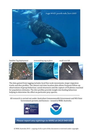 WA Orca Catalog_print3 | PDF