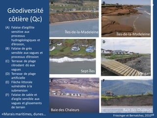 Géodiversité
côtière (Qc)
(A) Falaise d’argillite
sensitive aux
processus
hydrogéologiques et
d’érosion,
(B) Falaise de grès
sensible aux vagues et
processus d’érosion
(C) Terrasse de plage
s’érodant dû aux
vagues
(D) Terrasse de plage
artificielle
(E) Flèche littorale
vulnérable à la
submersion
(F) Falaise de sable et
d’argile sensible aux
vagues et glissements
de terrain
Îles-de-la-Madeleine
Îles-de-la-Madeleine
Sept-Îles
Baie des Chaleurs Baie des Chaleurs
Mingan
+Marais maritimes, dunes… Friesinger et Bernatchez, 201068
 
