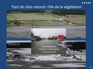 15 septembre 2010
09 décembre 2010
Trait de côte naturel: rôle de la végétation
ne protège pas
contre la submersion
(+niveau mer)
74
 