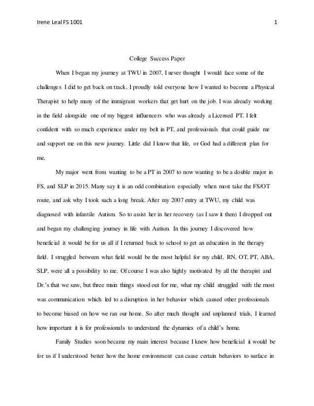 College success research paper sample image