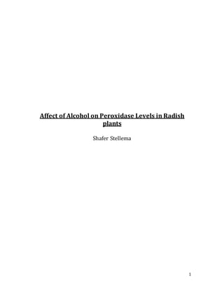 1
Affect of Alcohol on Peroxidase Levels in Radish
plants
Shafer Stellema
 