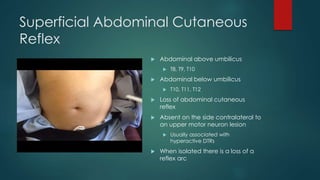 Superficial Abdominal Cutaneous
Reflex
 Abdominal above umbilicus
 T8, T9, T10
 Abdominal below umbilicus
 T10, T11, T12
 Loss of abdominal cutaneous
reflex
 Absent on the side contralateral to
an upper motor neuron lesion
 Usually associated with
hyperactive DTRs
 When isolated there is a loss of a
reflex arc
 