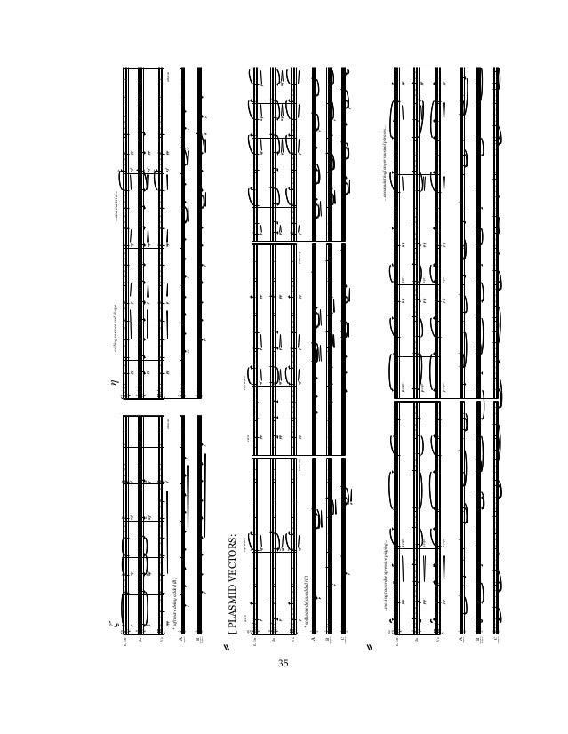 Duke senior thesis image