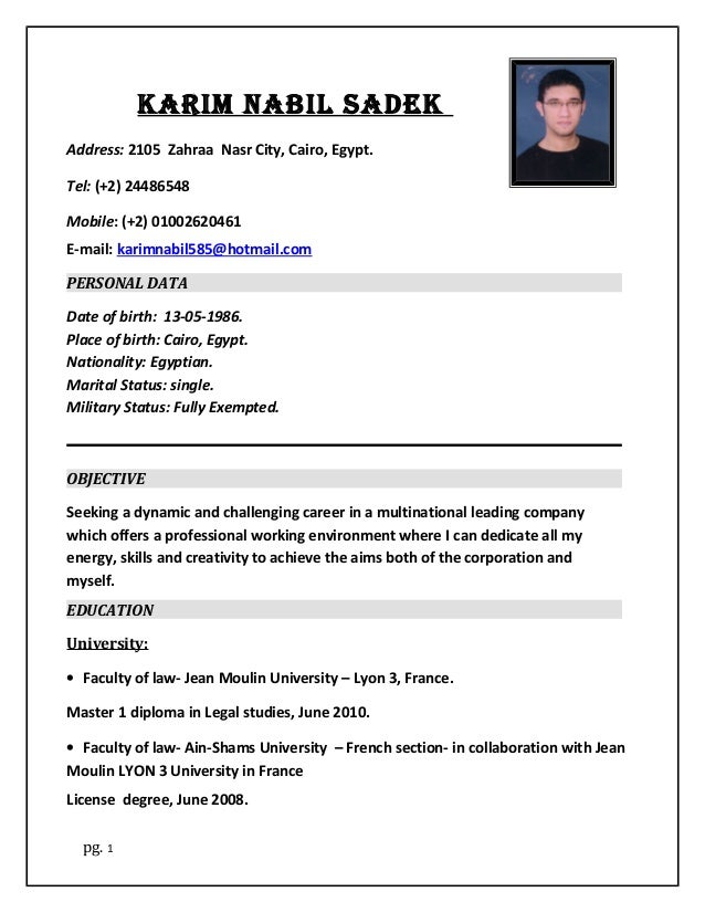 karim nabil english cv lawyer cv