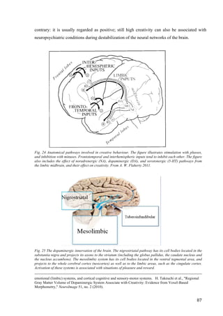87	
contrary: it is usually regarded as positive; still high creativity can also be associated with
neuropsychiatric conditions during destabilization of the neural networks of the brain.
	
Fig. 24 Anatomical pathways involved in creative behaviour. The figure illustrates stimulation with plusses,
and inhibition with minuses. Frontotemporal and interhemispheric inputs tend to inhibit each other. The figure
also includes the effect of noradrenergic (NA), dopaminergic (DA), and serotonergic (5-HT) pathways from
the limbic midbrain, and their effect on creativity. From A. W. Flaherty 2011.
	
	
Fig. 25 The dopaminergic innervation of the brain. The nigrostriatal pathway has its cell bodies located in the
substantia nigra and projects its axons to the striatum (including the globus pallidus, the caudate nucleus and
the nucleus accumbens). The mesolimbic system has its cell bodies located in the ventral tegmental area, and
projects to the whole cerebral cortex (neocortex) as well as to the limbic areas, such as the cingulate cortex.
Activation of these systems is associated with situations of pleasure and reward.
																																																																																																																																																																											
emotional (limbic) systems, and cortical cognitive and sensory-motor systems. H. Takeuchi et al., "Regional
Gray Matter Volume of Dopaminergic System Associate with Creativity: Evidence from Voxel-Based
Morphometry," NeuroImage 51, no. 2 (2010).
 