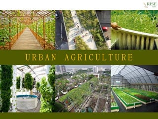 Urban AgricultureU R B A N A G R I C U L T U R E
 