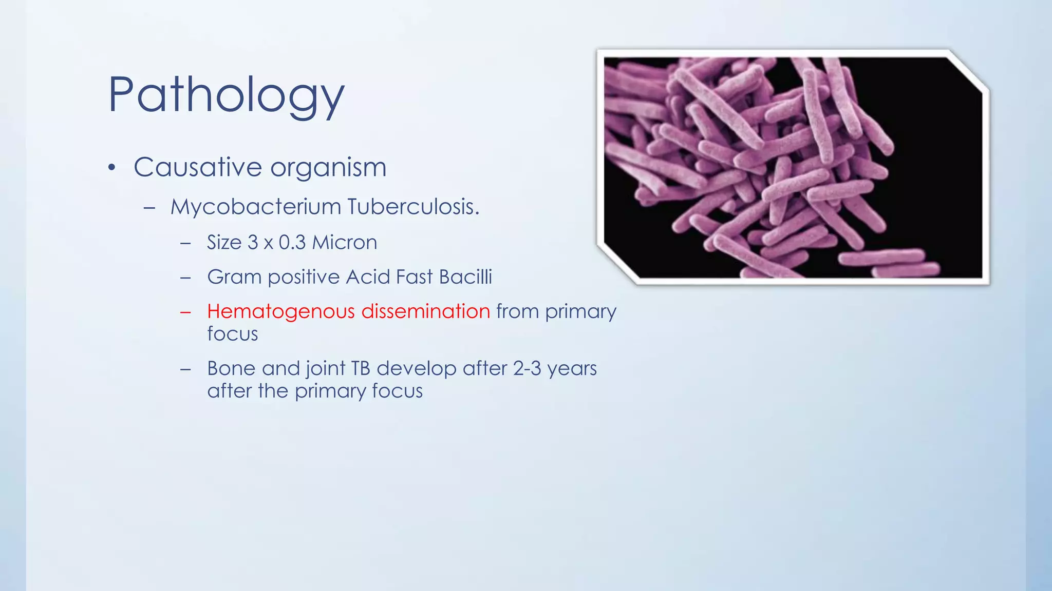 Pathology
• Causative organism
– Mycobacterium Tuberculosis.
– Size 3 x 0.3 Micron
– Gram positive Acid Fast Bacilli
– Hematogenous dissemination from primary
focus
– Bone and joint TB develop after 2-3 years
after the primary focus
 