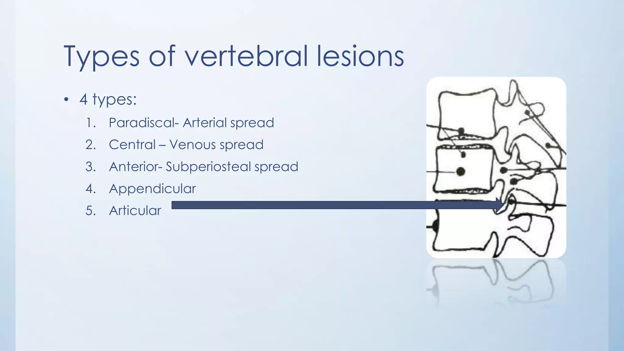 Types of vertebral lesions
• 4 types:
1. Paradiscal- Arterial spread
2. Central – Venous spread
3. Anterior- Subperiosteal spread
4. Appendicular
5. Articular
 