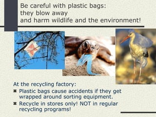 Be careful with plastic bags:
  they blow away
  and harm wildlife and the environment!




At the recycling factory:
  Plastic bags cause accidents if they get
  wrapped around sorting equipment.
  Recycle in stores only! NOT in regular
  recycling programs!
 