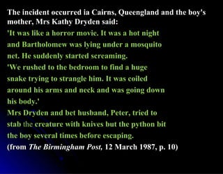 The incident occurred ia Cairns, Queengland and the boy'sThe incident occurred ia Cairns, Queengland and the boy's
mother, Mrs Kathy Dryden said:mother, Mrs Kathy Dryden said:
'It was like a horror movie. It was a hot night'It was like a horror movie. It was a hot night
and Bartholomew was lying under a mosquitoand Bartholomew was lying under a mosquito
net. He suddenly started screaming.net. He suddenly started screaming.
'We rushed to the bedroom to find a huge'We rushed to the bedroom to find a huge
snake trying to strangle him. It was coiledsnake trying to strangle him. It was coiled
around his arms and neck and was going downaround his arms and neck and was going down
his body.'his body.'
Mrs Dryden and bet husband, Peter, tried toMrs Dryden and bet husband, Peter, tried to
stabstab thethe creature with knives but the python bitcreature with knives but the python bit
the boy several times before escaping.the boy several times before escaping.
(from(from The Birmingham Post,The Birmingham Post, 12 March 1987, p. 10)12 March 1987, p. 10)
 