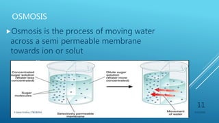 OSMOSIS
Osmosis is the process of moving water
across a semi permeable membrane
towards ion or solut
3/11/2018Y.Vamsi Krishna 17BCB0054
11
 