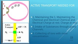 ACTIVE TRANSPORT NEEDED FOR
1. Maintaining the 1. Maintaining the
Chemical and Electrical Chemical and
Electrical Charge at rest. Charge at rest.
2. Intake of Substances through gated
Channels.
3. Collecting of ions with more
concentration
3/11/2018Y.Vamsi Krishna 17BCB0054
15
 