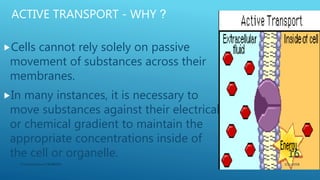 ACTIVE TRANSPORT - WHY ?
Cells cannot rely solely on passive
movement of substances across their
membranes.
In many instances, it is necessary to
move substances against their electrical
or chemical gradient to maintain the
appropriate concentrations inside of
the cell or organelle.
3/11/2018Y.Vamsi Krishna 17BCB0054
16
 