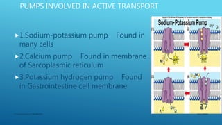 PUMPS INVOLVED IN ACTIVE TRANSPORT
1.Sodium-potassium pump Found in
many cells
2.Calcium pump Found in membrane
of Sarcoplasmic reticulum
3.Potassium hydrogen pump Found
in Gastrointestine cell membrane
3/11/2018Y.Vamsi Krishna 17BCB0054
17
 
