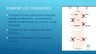 SYMPORT (CO-TRANSPORT)
Transport of two substances using the
energy produced by concentration
difference developed by primary active
transport
 Substances are moving in the same
direction.
 Example: transport of amino acids,
Glucose,
3/11/2018Y.Vamsi Krishna 17BCB0054
23
 