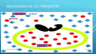 MECHANISM OF CO-TRANSPORT
3/11/2018Y.Vamsi Krishna 17BCB0054
24
 