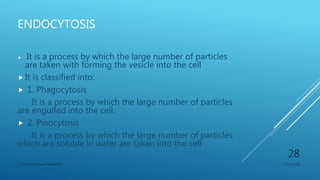 ENDOCYTOSIS
 It is a process by which the large number of particles
are taken with forming the vesicle into the cell
 It is classified into:
 1. Phagocytosis
It is a process by which the large number of particles
are engulfed into the cell.
 2. Pinocytosis
It is a process by which the large number of particles
which are soluble in water are taken into the cell
3/11/2018Y.Vamsi Krishna 17BCB0054
28
 