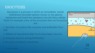 EXOCYTOSIS
Exocytosis is a process in which an intracellular vesicle
(membrane bounded sphere) moves to the plasma
membrane and fused the substance into the Extra cellular
fluids For example a few of the processes that use Exocytosis
are:
1. Secretion of proteins like enzymes and antibodies from
cells.
2. Release of neurotransmitter from presynaptic neurons
3. Arosome reaction during fertilization
4. Recycling of plasma membrane
3/11/2018Y.Vamsi Krishna 17BCB0054
29
 