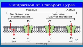 3/11/2018Y.Vamsi Krishna 17BCB0054
32
 