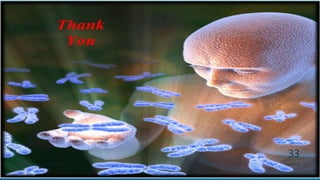 3/11/2018Y.Vamsi Krishna 17BCB0054
33
 