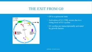THE EXIT FROM G0
 G0 is a quiescent state
 Activation of G1 CDK occurs due to a
rising level of G1 cyclins
 G1 cyclins are transcriptionally activated
by growth factors
17BCB0087 A.G.Harith Laxman
 