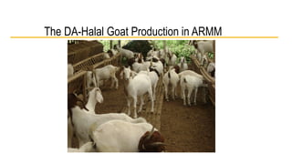 The DA-Halal Goat Production in ARMM 
 