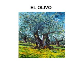 EL OLIVO 