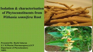 Presented By- Ruchi Saharan
S.Y M.Pharm( Pharmacognosy),GCP
Department of Phytochemistry
NRPL
Isolation & characterisation
of Phytoconstituents from
Withania somnifera Root
 