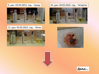 9. дан. 03.03.2015. год. - Среда 10. дан. 04.03.2015. год. - Четвртак
11. дан. 05.03.2015. год. - Петак
Даље...
 