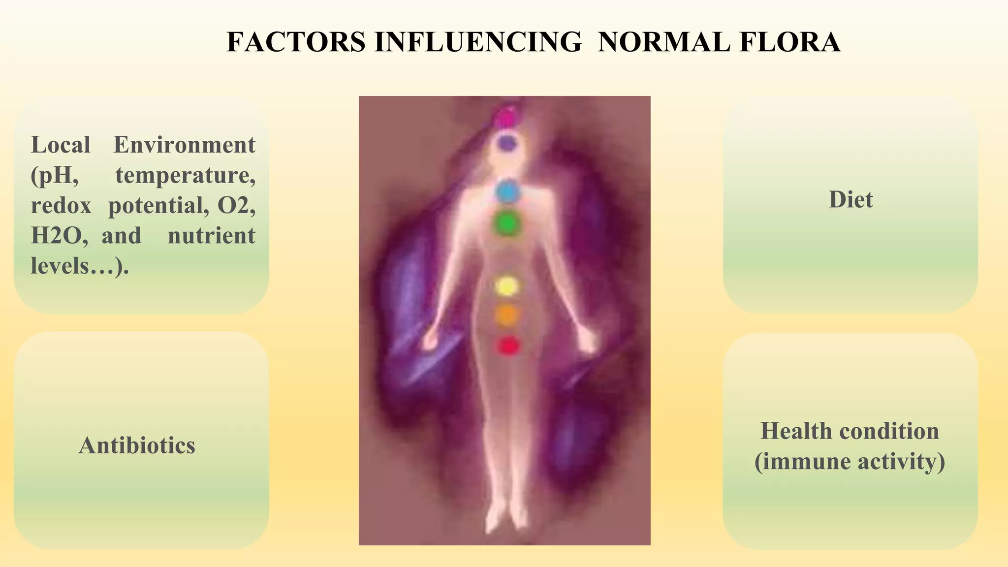 Normal Microbial Flora in Human Body | PPTX
