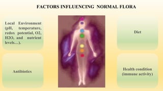 FACTORS INFLUENCING NORMAL FLORA
Diet
Health condition
(immune activity)
Antibiotics
Local Environment
(pH, temperature,
redox potential, O2,
H2O, and nutrient
levels…).
 