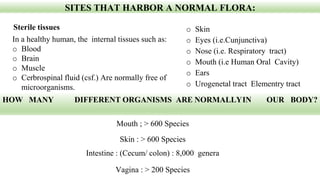 SITES THAT HARBOR A NORMAL FLORA:
Sterile tissues o Skin
o Eyes (i.e.Cunjunctiva)
o Nose (i.e. Respiratory tract)
o Mouth (i.e Human Oral Cavity)
o Ears
o Urogenetal tract Elementry tract
In a healthy human, the internal tissues such as:
o Blood
o Brain
o Muscle
o Cerbrospinal fluid (csf.) Are normally free of
microorganisms.
Mouth ; > 600 Species
Skin : > 600 Species
Intestine : (Cecum/ colon) : 8,000 genera
Vagina : > 200 Species
HOW MANY DIFFERENT ORGANISMS ARE NORMALLYIN OUR BODY?
 