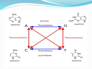 genotoxic_impurities-Gowtham | PPTX