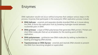 DNA Replication | PPTX