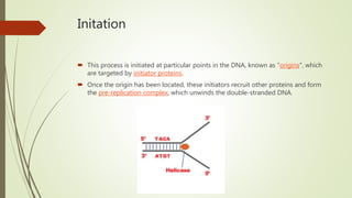 DNA Replication | PPTX