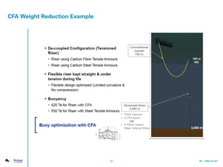 Amplus VPU Presentation | PDF