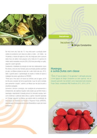 No início eram seis, hoje são 15, mas ainda assim a produção deste
coletivo de produtores (com áreas de cultivo a rondar – em média – as
mil plantas), a maioria da região de Leiria, não chega para cobrir a procura
deste fruto, de calibre muito pequeno (uma média de 4,5 gramas em
média, sendo necessárias cerca de 200 a 250 frutos para atingir um quilo),
segundo o jovem agricultor.
Canalizando a totalidade da produção da rede dos colaboradores (como
lhe chama), cerca de cinco hectares, para as principais grandes superfícies
do país, Luís Manso prepara-se para dar o salto, tendo este ano, 2014,
dado o grande passo: a apresentação do projeto à medida de apoio à
instalação dos jovens agricultores do PRODER.
“Penso que o meu caso é um pouco ao contrário, pois só agora, ao fim
de três anos a produzir de forma experimental, é que me senti à vontade
para apresentar o projeto”, sublinha Luís Manso que não pôs de parte a
arquitetura paisagista.
Aumentar e otimizar a produção, criar condições de armazenamento e
embalamento, são objetivos traçados neste projeto que permitirá iniciar a
exportação, respondendo à elevada procura do (mercado) europeu, bem
como evidenciar o potencial desta cultura, a ganhar crescente expressão
em Portugal, segundo Luís Manso, que aposta ainda na constituição da
Associação de Produtores de Physalis e Pequenos Frutos (APROFIS),
essencial para a homologação de produtos fitossanitários e apoio aos novos
produtores.
“Tenho 37 anos de idade e 37 de agricultura”.A afirmação prenuncia
a forte ligação de Sérgio Constantino ao setor agrícola, não só
enquanto agricultor mas também como responsável pela empresa
Frutas Classe, considerada PME Excelência 2012, 2013, 2014.
Morangos
e outras frutas com classe
Iniciativa de...
Sérgio Constantino
 