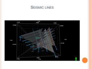 SEISMIC LINES
 