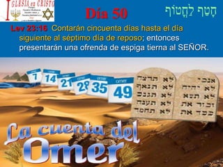 Día 50
Lev 23:16 Contarán cincuenta días hasta el día
siguiente al séptimo día de reposo; entonces
presentarán una ofrenda de espiga tierna al SEÑOR.
 